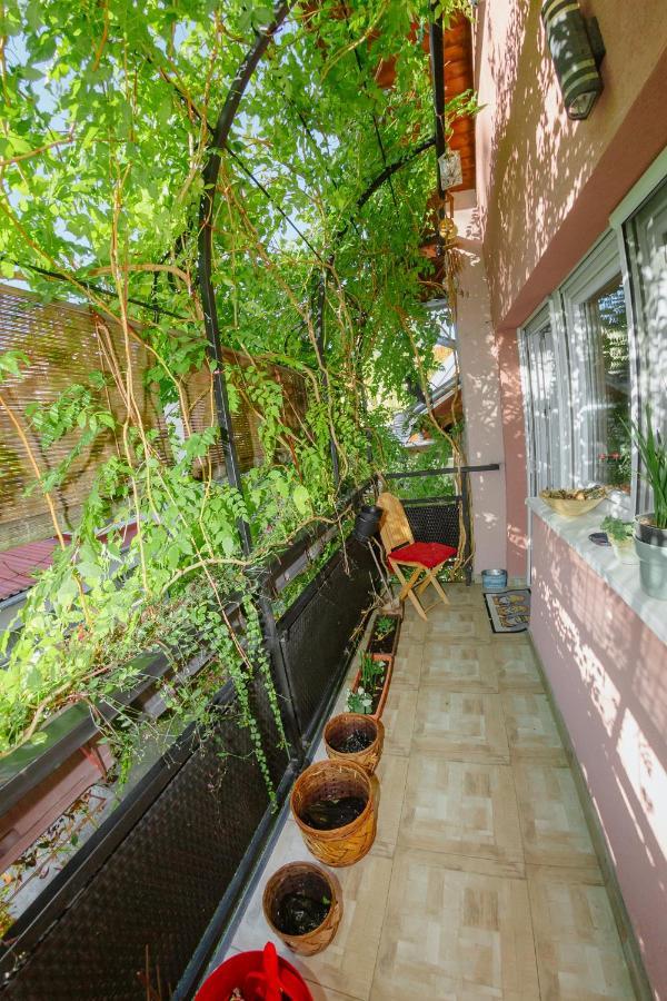 Apartman Zamak Sombor Exterior photo