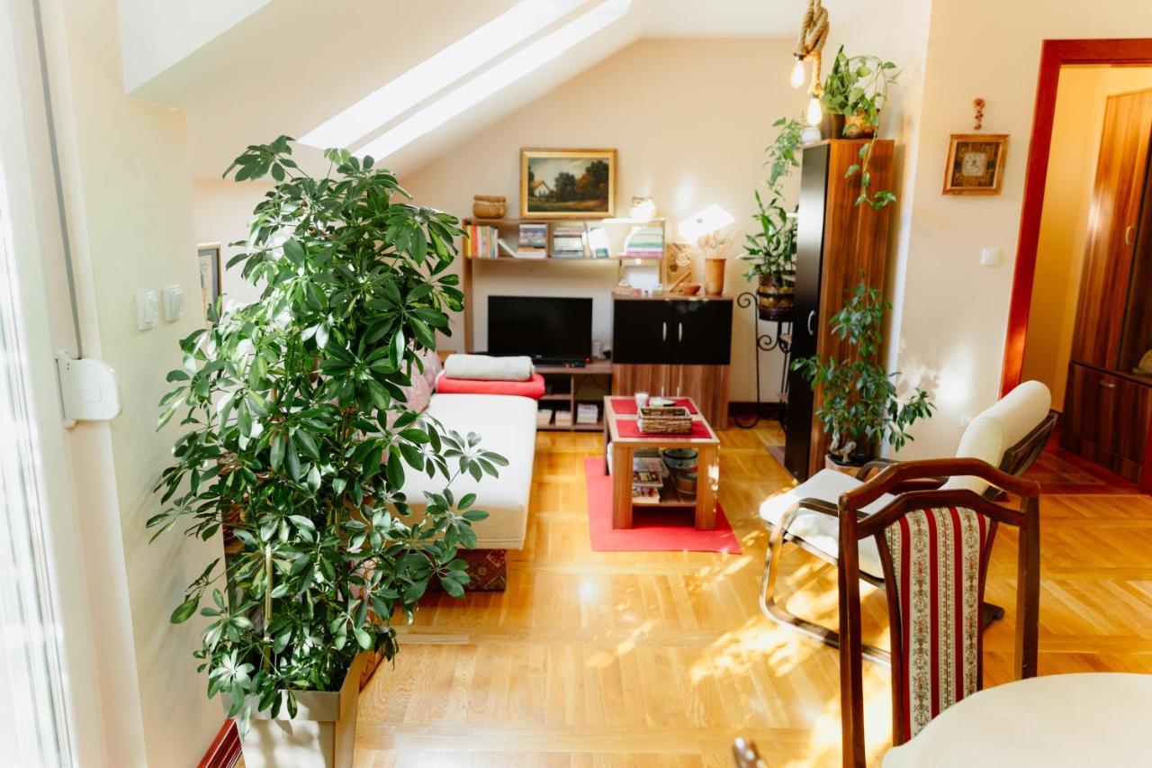 Apartman Zamak Sombor Exterior photo